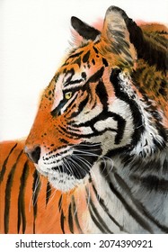 Watercolor illustration of a striped black and red tiger with golden eyes on a white background