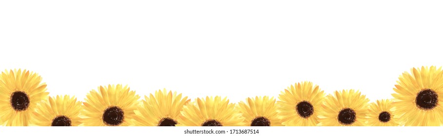 Watercolor Sunflower Border Stock Illustrations Images Vectors Shutterstock