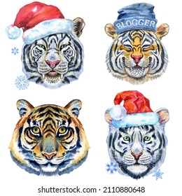 Watercolor illustration of tigers in Santa hat and blogger hat