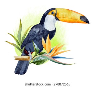 watercolor illustration of a toucan with tropical flowers