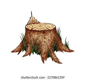 Watercolor Illustration Of A Tree Stump With Grass. Cut Tree Trunk With Bark And Plants. For The Design Of Design Compositions On The Theme Of Tourism, Hiking, Outdoor Recreation. Isolated On White 