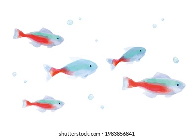 380 Neon tetra Stock Illustrations, Images & Vectors | Shutterstock