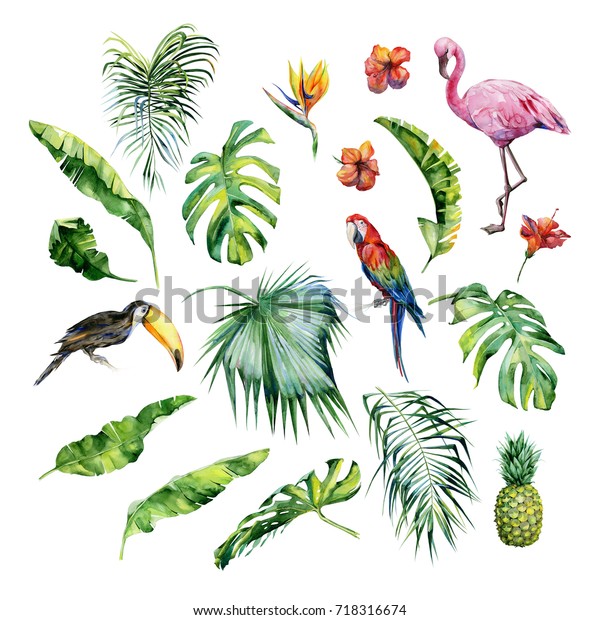 熱帯の葉 フラミンゴの鳥 パイナップルの水彩イラスト ツカンとスカレマカオオウム ストレリツィアはイヌの花 手描き 夏の夏をモチーフにしたバナー ヤシの葉 のイラスト素材 718316674