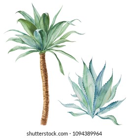 Watercolor  Illustration. Tropical Palm Tree.