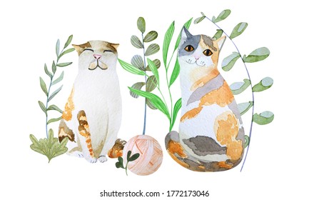 Watercolor illustration and two cats   ball thread around plants white background 
