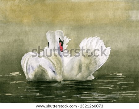 Watercolor illustration of two graceful white swans on the misty calm lake