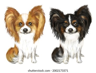 Papillon の画像 写真素材 ベクター画像 Shutterstock