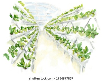 Watercolor illustration of urban farming and gardening. Modern technologies for growing eco plants, farm develop, hydroponics. Urban agricultural landscape isolated on white background.