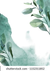 Watercolor illustration. Vertical background of green eucalyptus leaves and green paint splash on white background