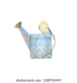 Watercolor Illustration Watering Can Bird Wedding Stock Illustration ...