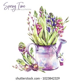 Watercolor Illustration. Watering Can With Hyacinth Seedlings And Tags. Rustic Objects. Spring Collection In Violet Shades. ClipArt, DIY, Scrapbooking Elements. Holidays, Wedding Design. Horticulture.