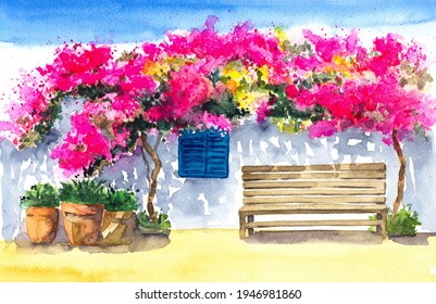 Watercolor illustration of a white house facade with a bright pink bougainvillea winding up the wall and a wooden bench in its shadow