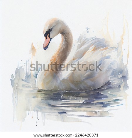 Watercolor illustration of a white swan