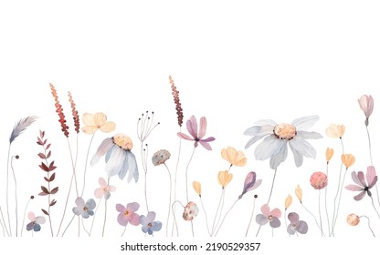 Watercolor Illustration Wildflowers Herbs Panoramic Horizontal Stock ...