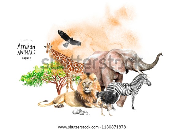 野生生物アフリカの水彩イラスト 手描きのキリン 象 ゼブラ オストリッヒ ライオン 鷲 鳥 サファリの南の木 のイラスト素材