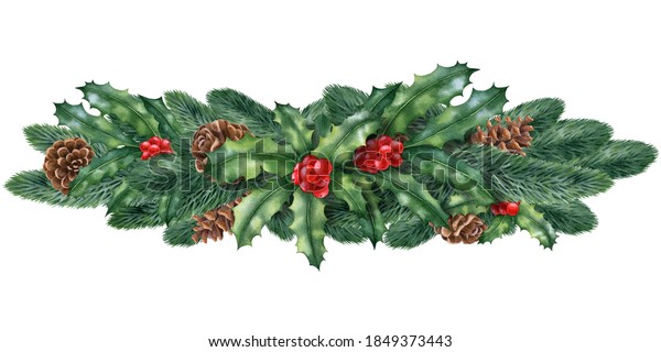 白い背景に水彩のイラストと冬の植物 円錐 柊 手描きの水彩クリップアート クリスマスの作文 新年の祝日 のイラスト素材