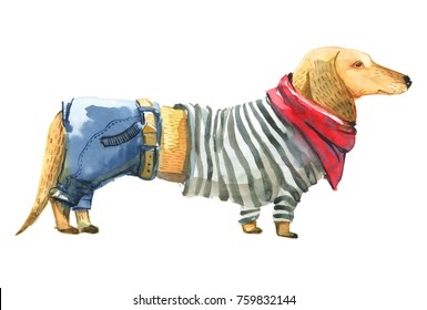 Watercolor Illustration. Yellow Dog In Sweater And Jeans