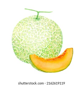 Watercolor Illustration Of Yubari Melon