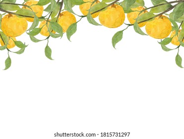 柚子 葉 のイラスト素材 画像 ベクター画像 Shutterstock