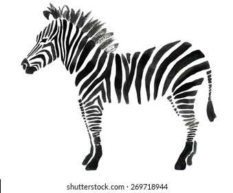 Watercolor Illustration Of A Zebra