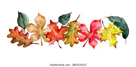 watercolor illustration.frame with green oak leaves, template for postcards, invitations, business cards.isolated on a white background.watercolor illustration.a set of colorful autumn leaves, a