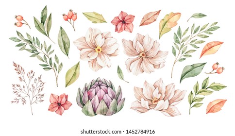 Watercolor illustrations. Autumn botanical collection (artichoke, wild flowers, leaves, branches). Floral Design elements. Perfect for wedding invitations, greeting cards, posters, prints - Powered by Shutterstock