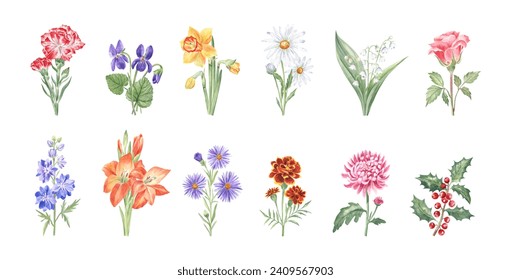 Watercolor illustrations of the birth month flowers - set of 12 drawings - carnation, violet, daffodil, daisy, lily of the valley, rose, larkspur, gladiolus, aster, marigold, chrysanthemum, holly