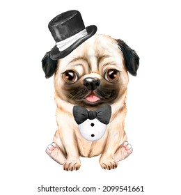 Watercolor illustrations of cartoon pug in hat and bow tie, cute dog image, childrens illustration
