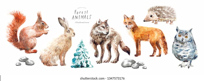 Watercolor illustrations of forest animals: hare, wolf, fox, hedgehog, owl, squirrel, spruce, isolated freehand drawings