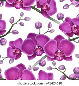 Watercolor illustrations of orchids. Seamless pattern
