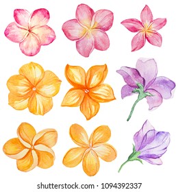 Watercolor Illustrations. Tropical Leaves And Flowers.