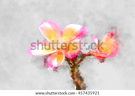 Watercolor image of frangipani flower.