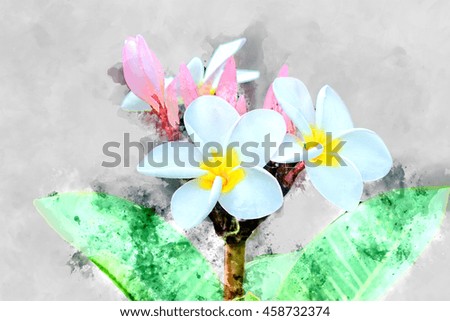 Watercolor image of frangipani flower.