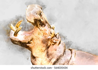 Watercolor Image Of Hippo Showing Huge Jaw And Teeth