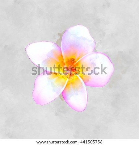 Watercolor image ofpink frangipani flower.