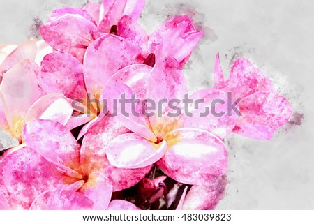 Watercolor image of Pink frangipani flower.