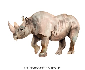 Watercolor Image Of Rhino On White Background