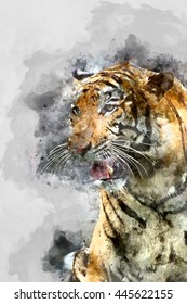 Watercolor image of Royal Bengal tiger.