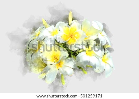 Watercolor image of White frangipani flowers.