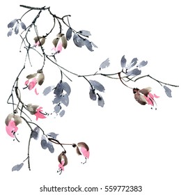 Watercolor and ink illustration of blossom tree branch. Sumi-e, u-sin painting.