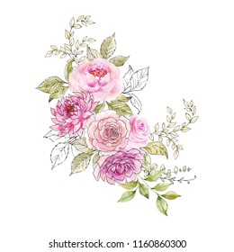 Watercolor Ink Illustration Painted Composition Flowers Stock ...
