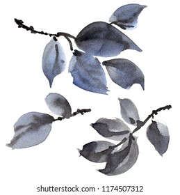 Watercolor And Ink Illustration Of Tree Leaves Branch On White Background, Sumi-e And U-sin Oriental Traditional Painting