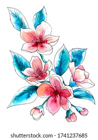 Watercolor and ink tropical cherry flower, isolated, red and blue