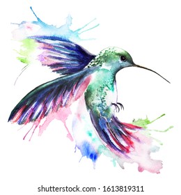 Watercolor Hummingbird Images, Stock Photos & Vectors | Shutterstock