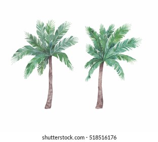 Watercolor Isolated Palm Tree