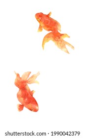 Watercolor Japanese Colorful Goldfish Illustration