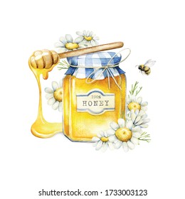 Watercolor jar with honey, a spoon and chamomile flowers. Hand painted, illustration with honey isolated on white background for your design.