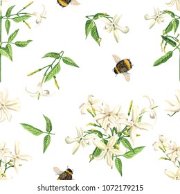 Watercolor Jasmine Blossom & Bumble Bee Seamless Pattern, Isolated On White Background. Green, Beige, Ivory & White Backdrop. Cloth & Rug Design. Oriental Style. Hand Drawn Illustration.