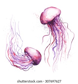 Watercolor Jellyfish