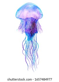 Jellyfish Watercolor Illustration Medusa Painting Isolated Stock ...